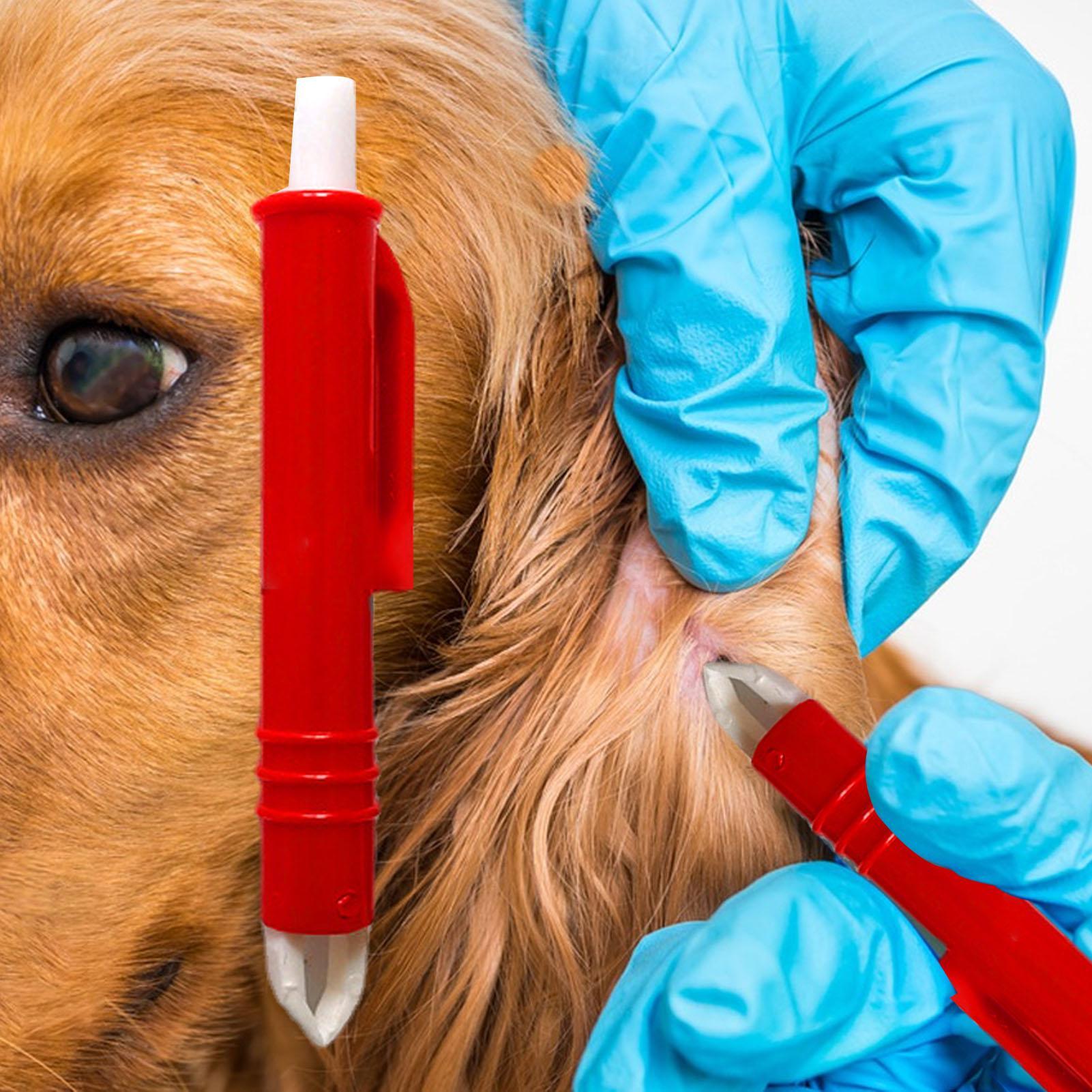 Flea Remover Hook Tick Remover - Pet Supplies Dropshipping incelemesi ve fiyatı