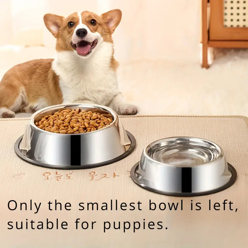Non-slip Stainless Steel Dog B - Pet Supplies Dropshipping incelemesi ve fiyatı