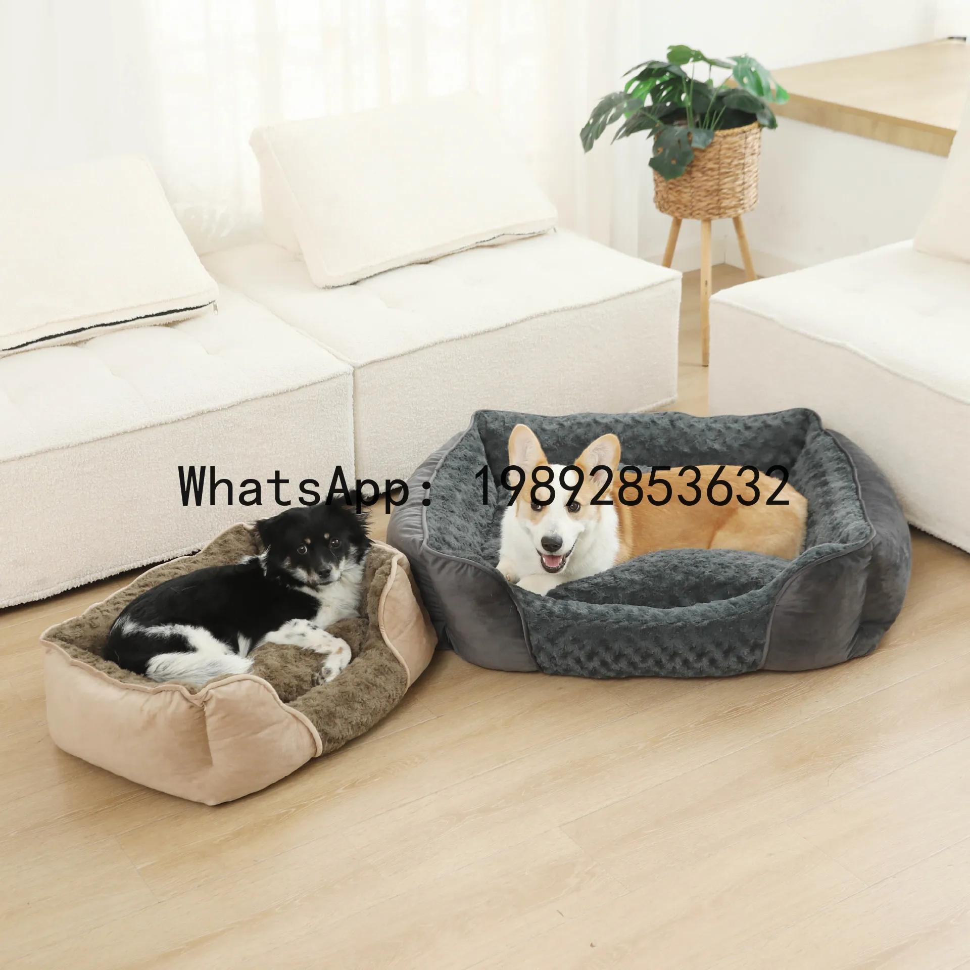 X cat house semi-enclosed dog  - Pet X Supplies & Tack incelemesi ve fiyatı