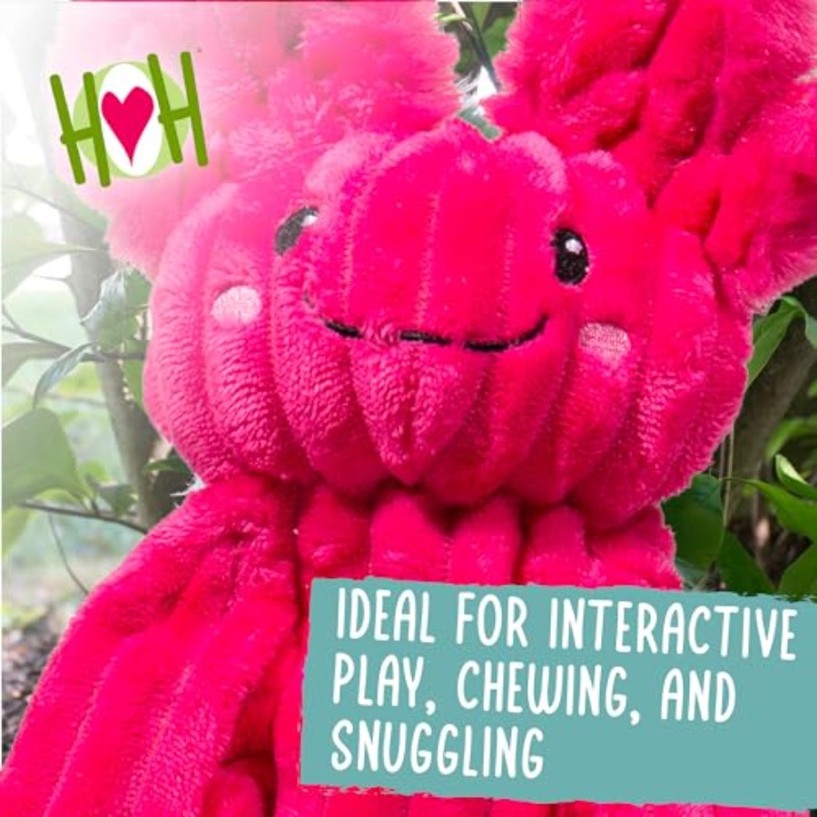 X-Brace Squeaky Dog Toy - Inte - Pet X Supplies & Tack incelemesi ve fiyatı