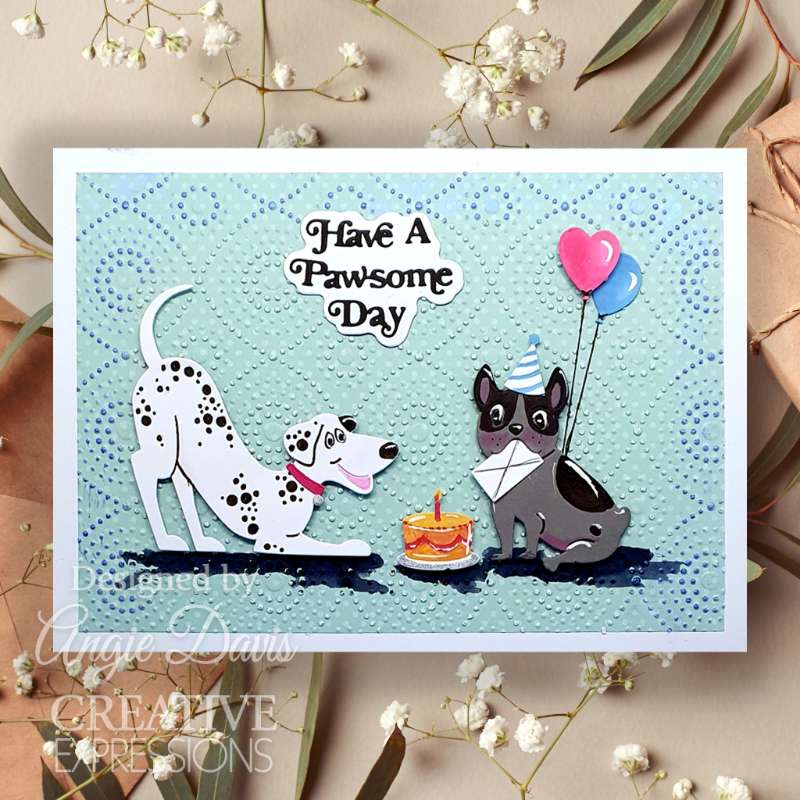 2024 Pet Tea Bag Collection Ne - Pet Supplies Gift Card incelemesi ve fiyatı