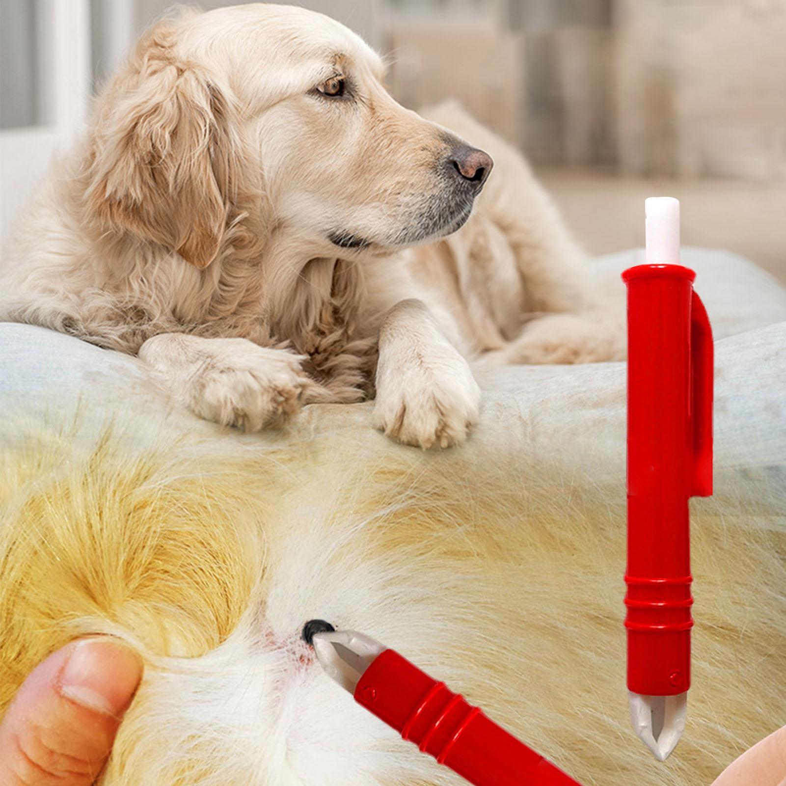 4 pcs Tick Remover Kit Tick Re - Pet Supplies Dropshipping incelemesi ve fiyatı