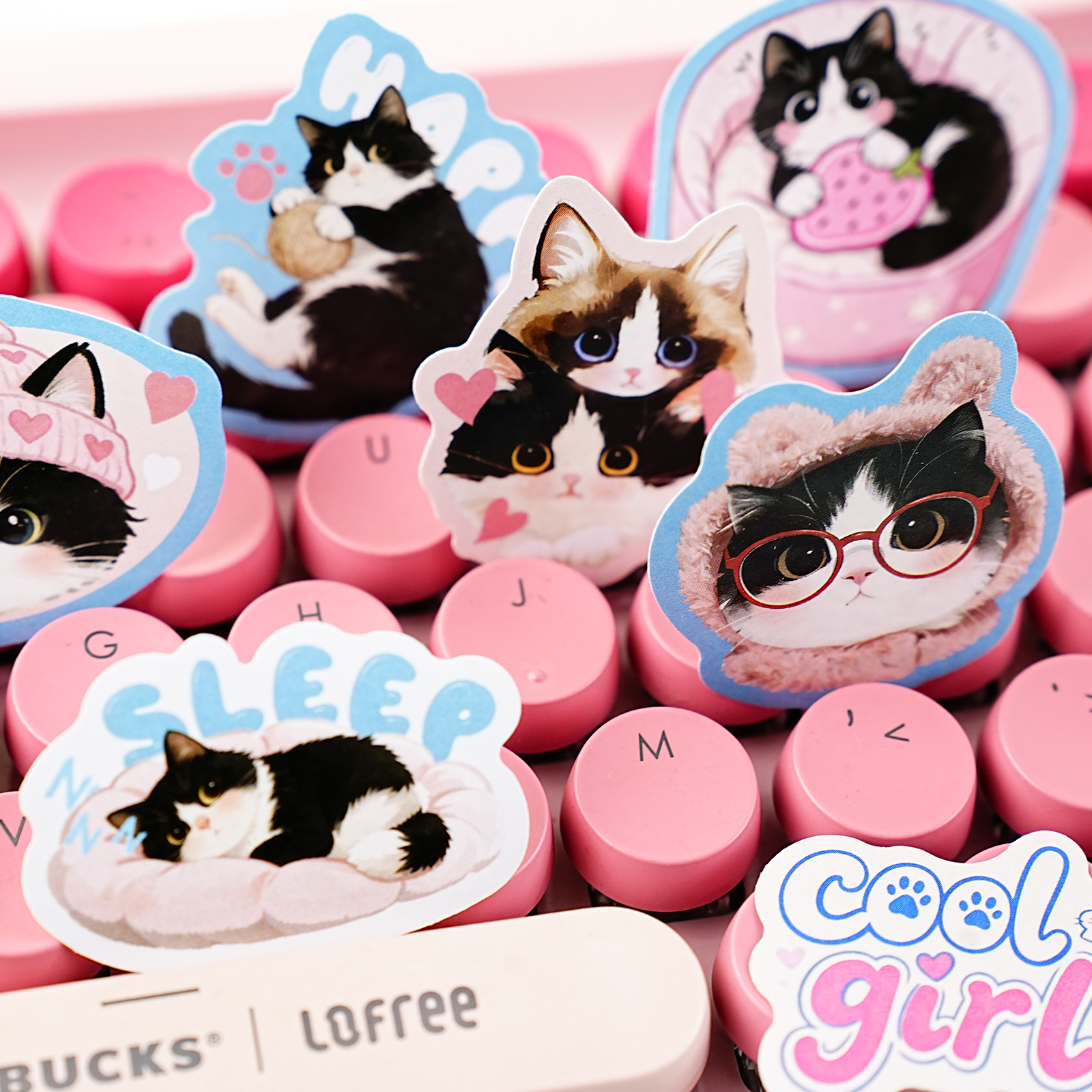 Etori Life Cute Pet Party Set  - Pet Supplies Gift Card incelemesi ve fiyatı